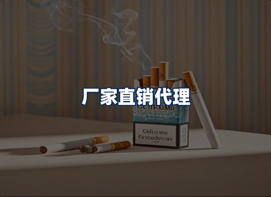 专业团队办公环境